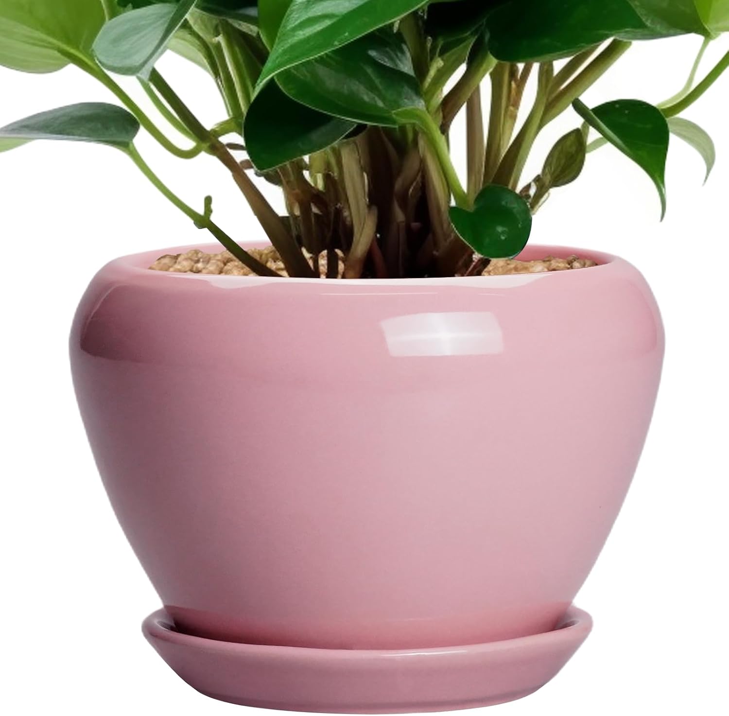 6in Ceramic Planter with Drainage Hole