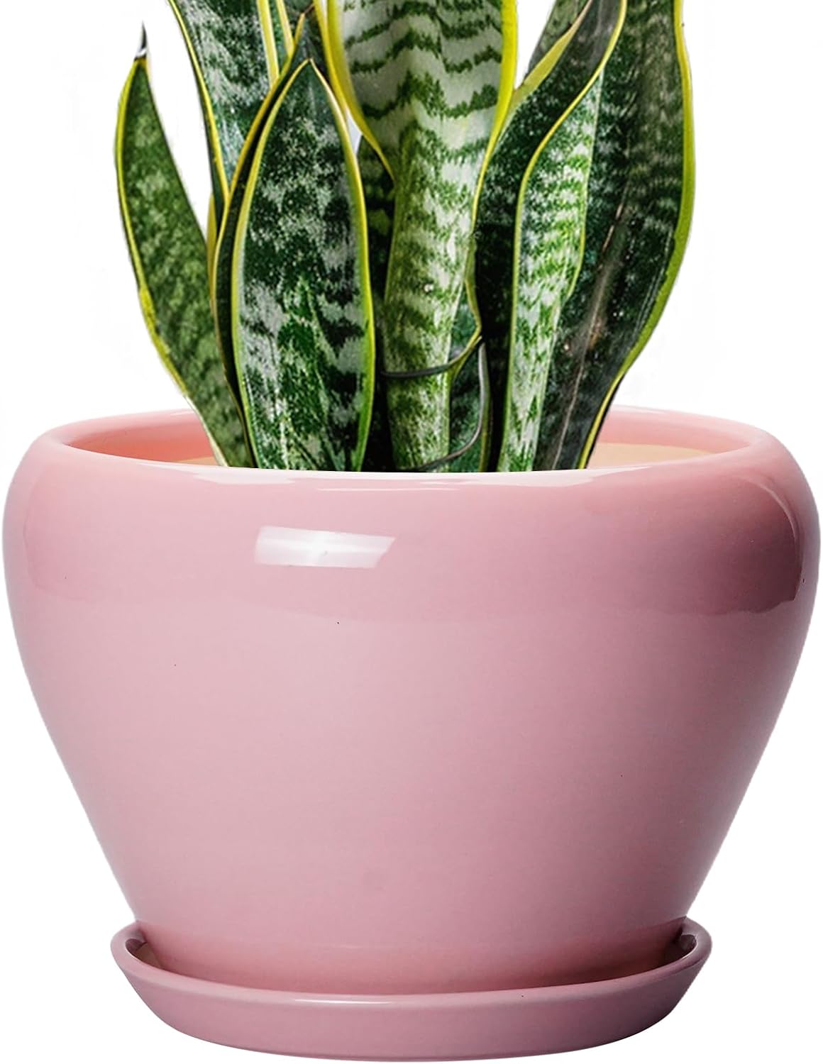 6in Ceramic Planter with Drainage Hole