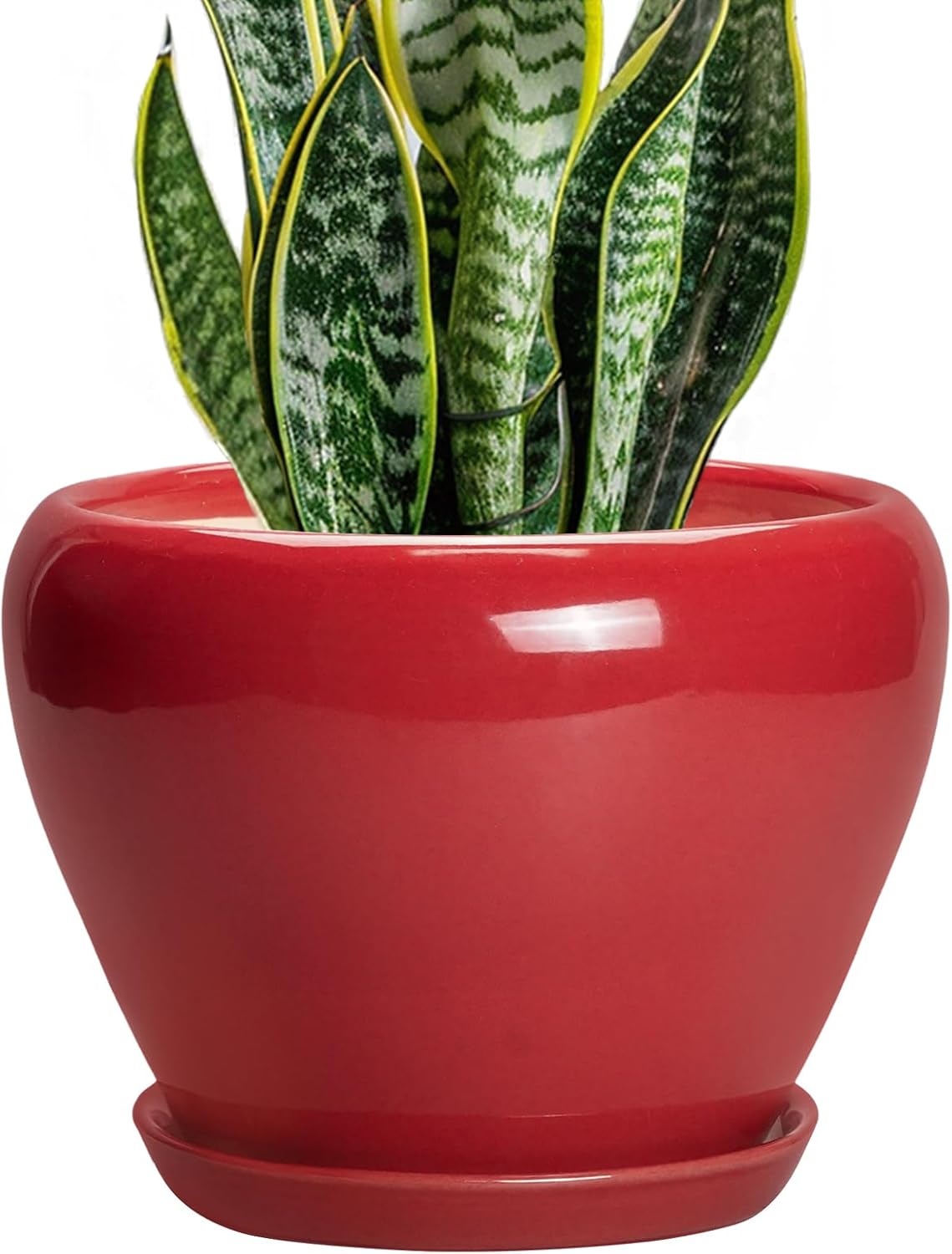 6in Ceramic Planter with Drainage Hole