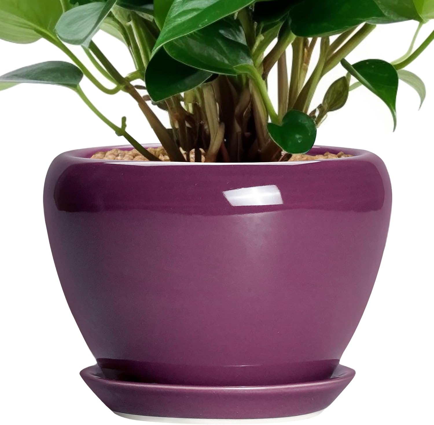 6in Ceramic Planter with Drainage Hole