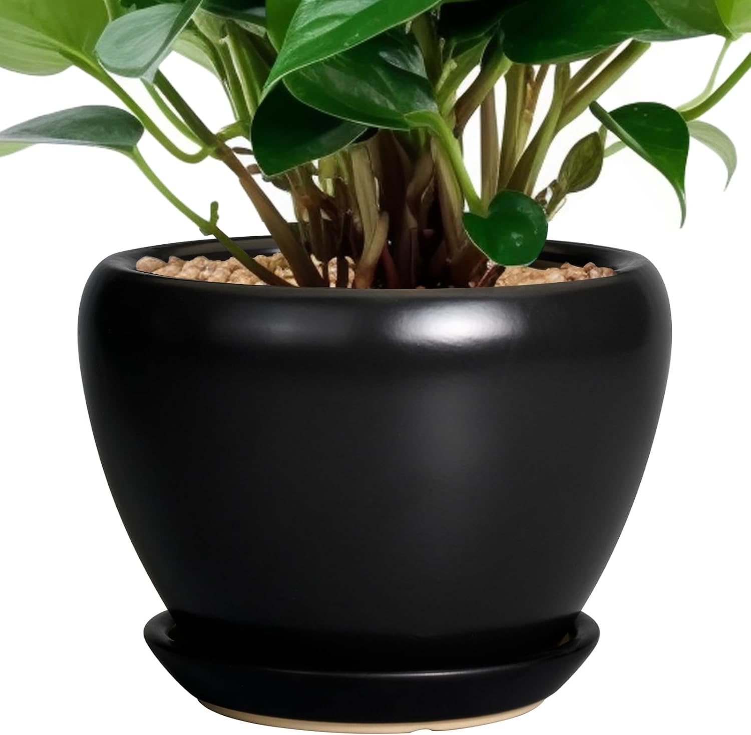 6in Ceramic Planter with Drainage Hole