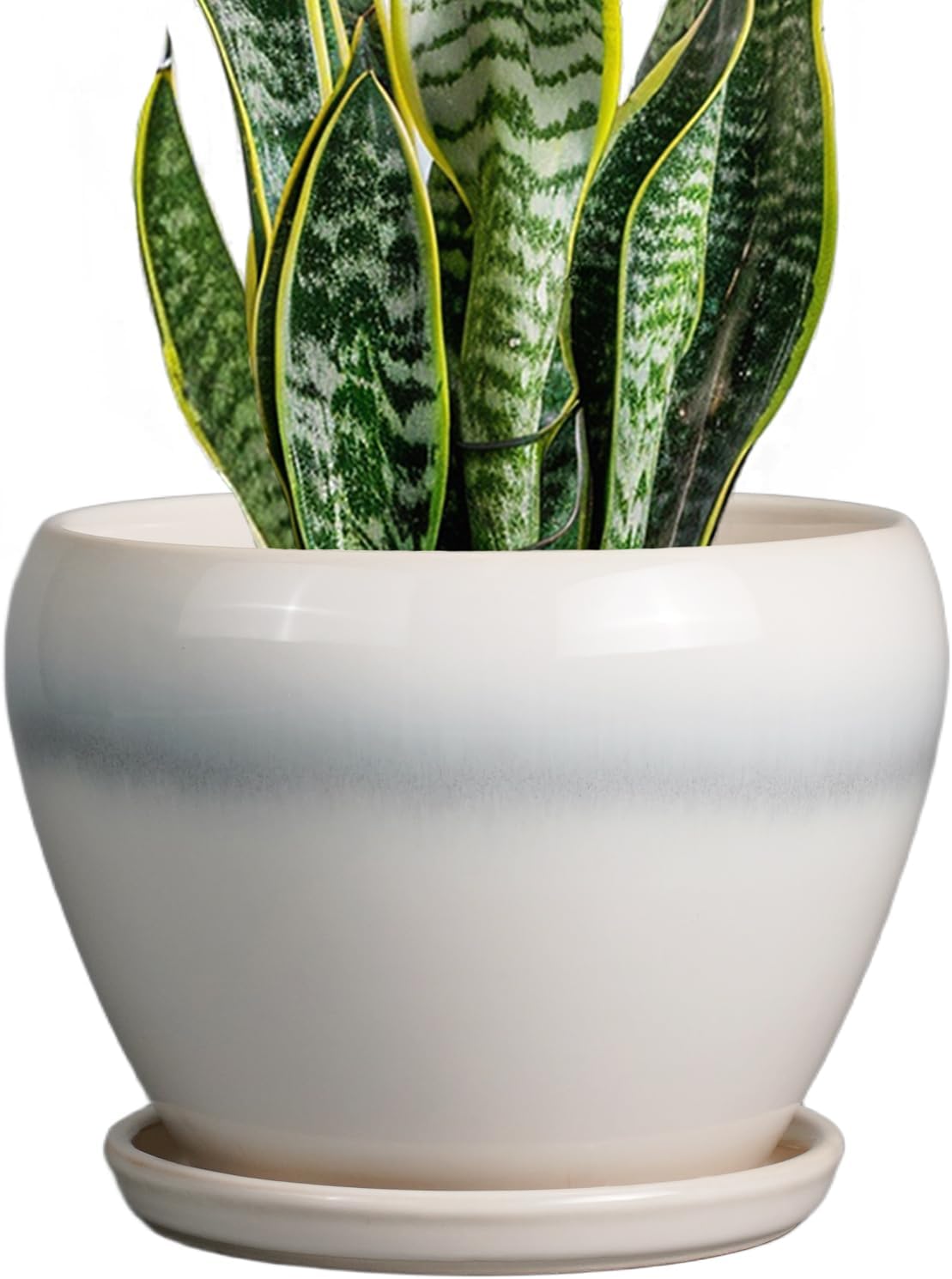 6in Ceramic Planter with Drainage Hole