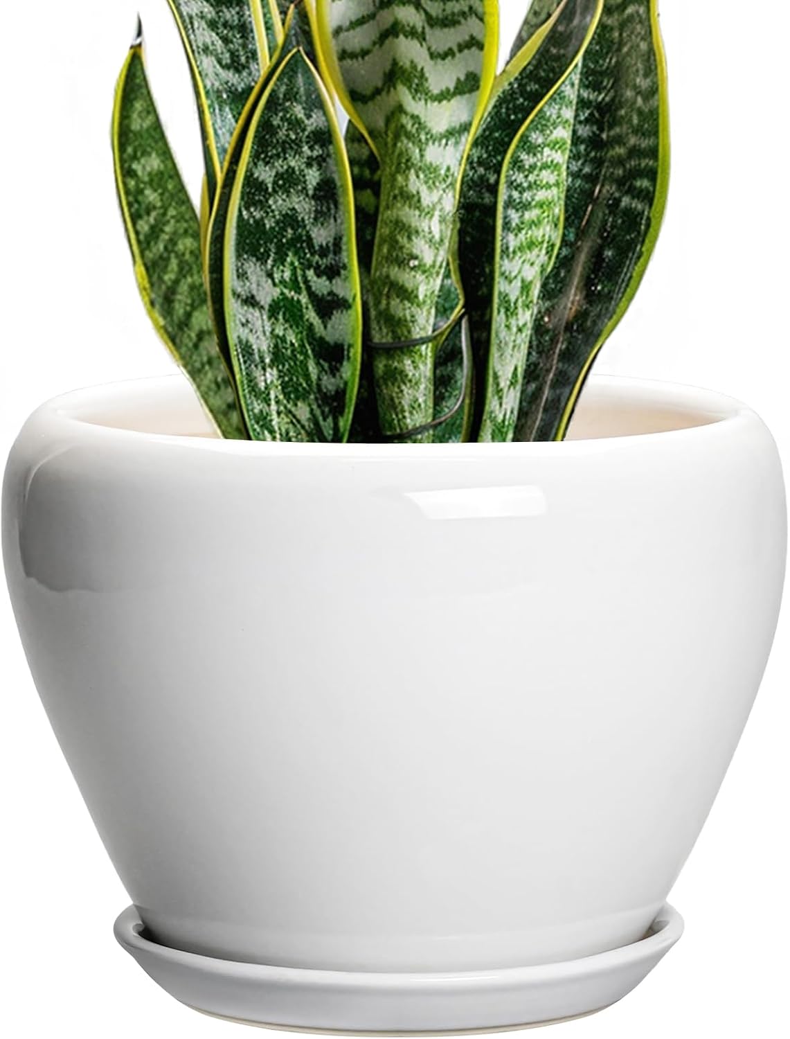 6in Ceramic Planter with Drainage Hole