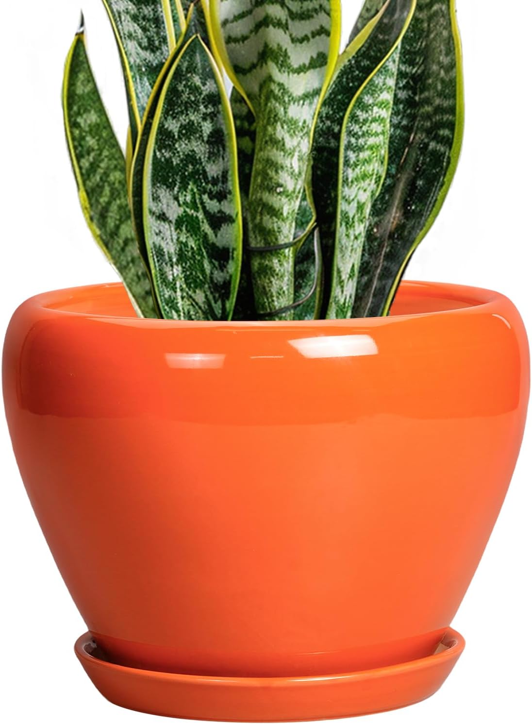 6in Ceramic Planter with Drainage Hole