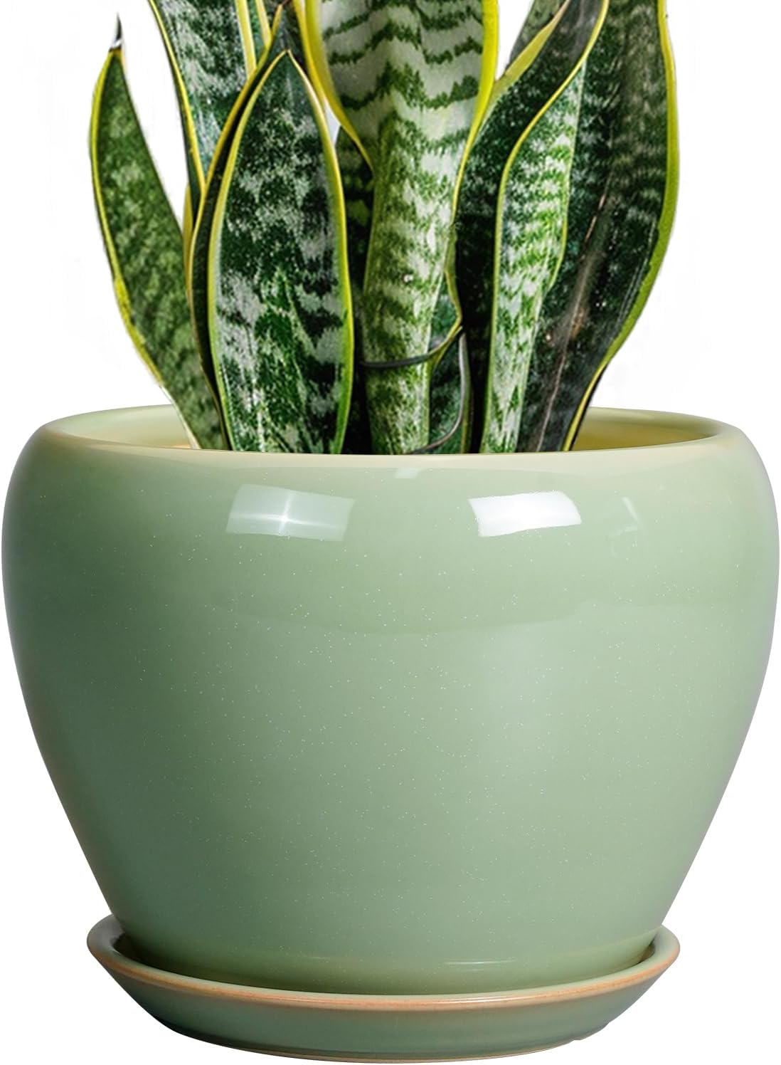 6in Ceramic Planter with Drainage Hole