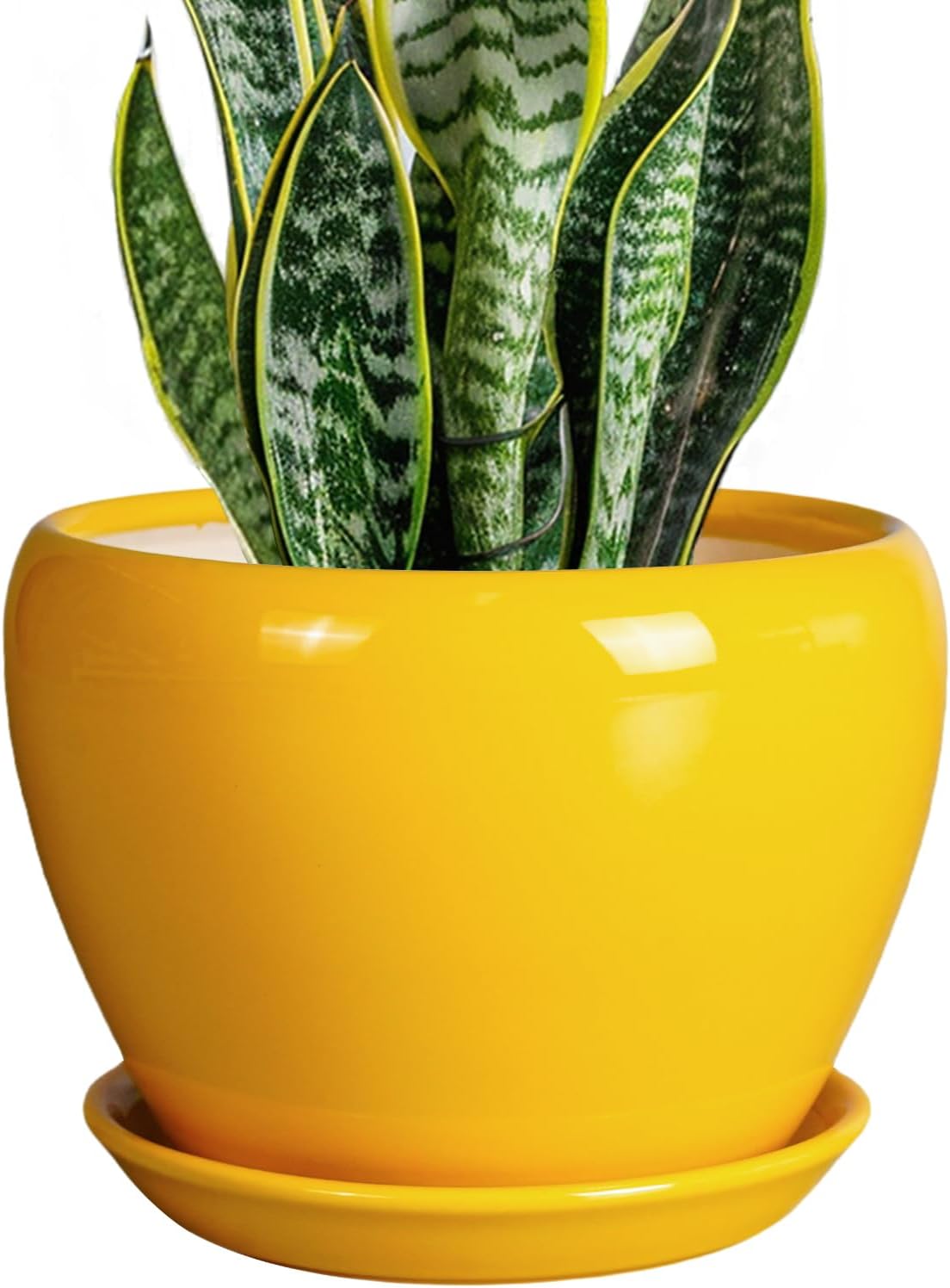 6in Ceramic Planter with Drainage Hole