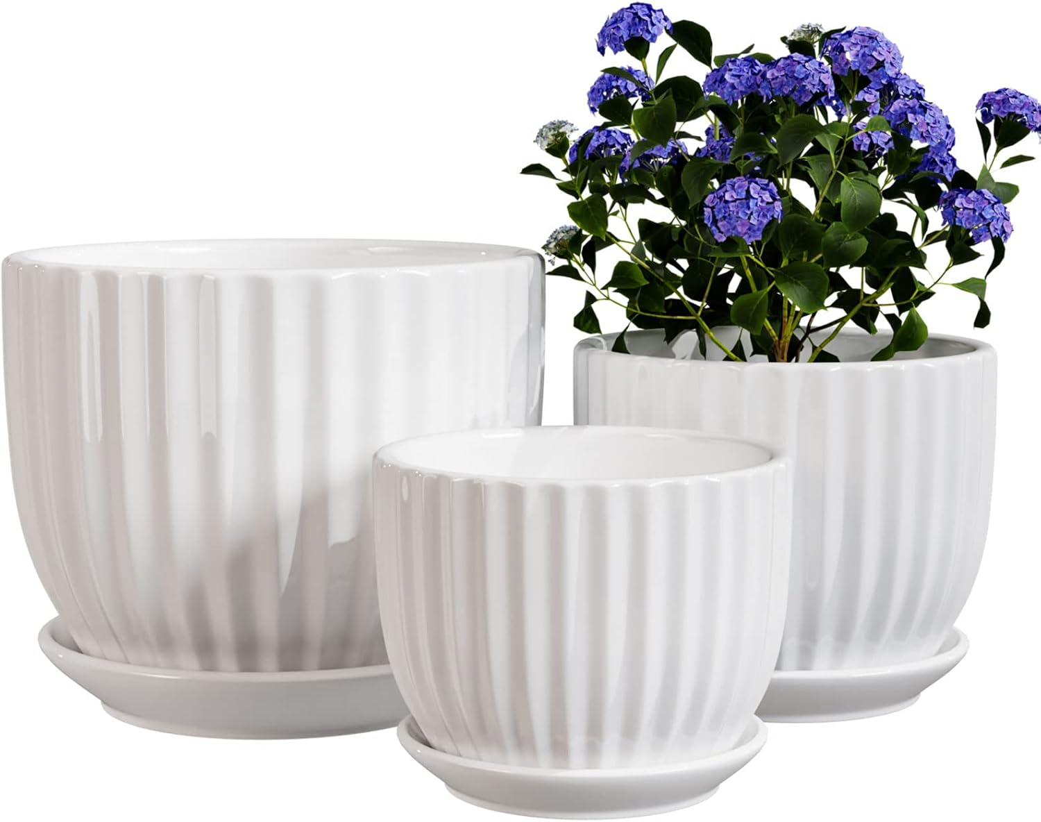 Set of 3 Ceramic Plant Pots with Saucers