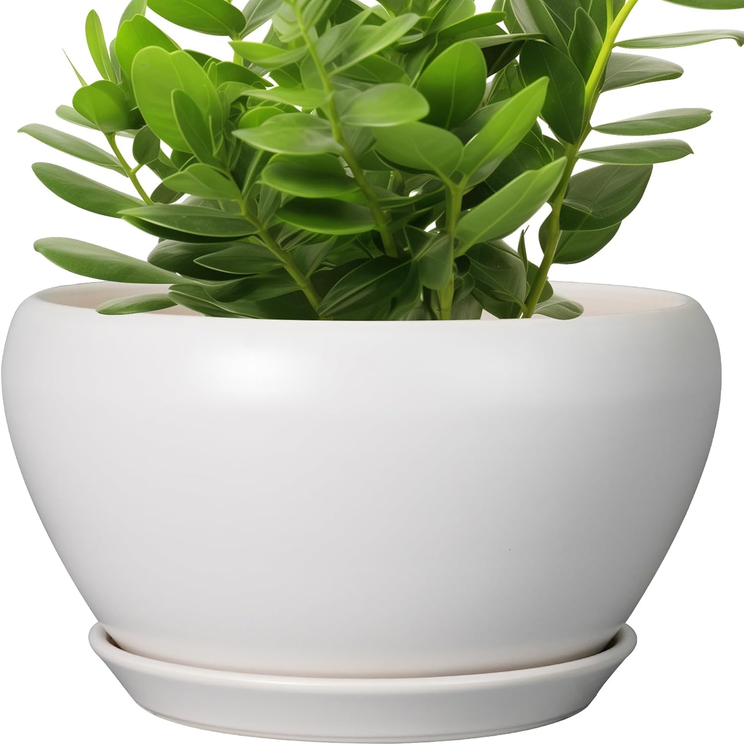 6in Ceramic Planter with Drainage Hole