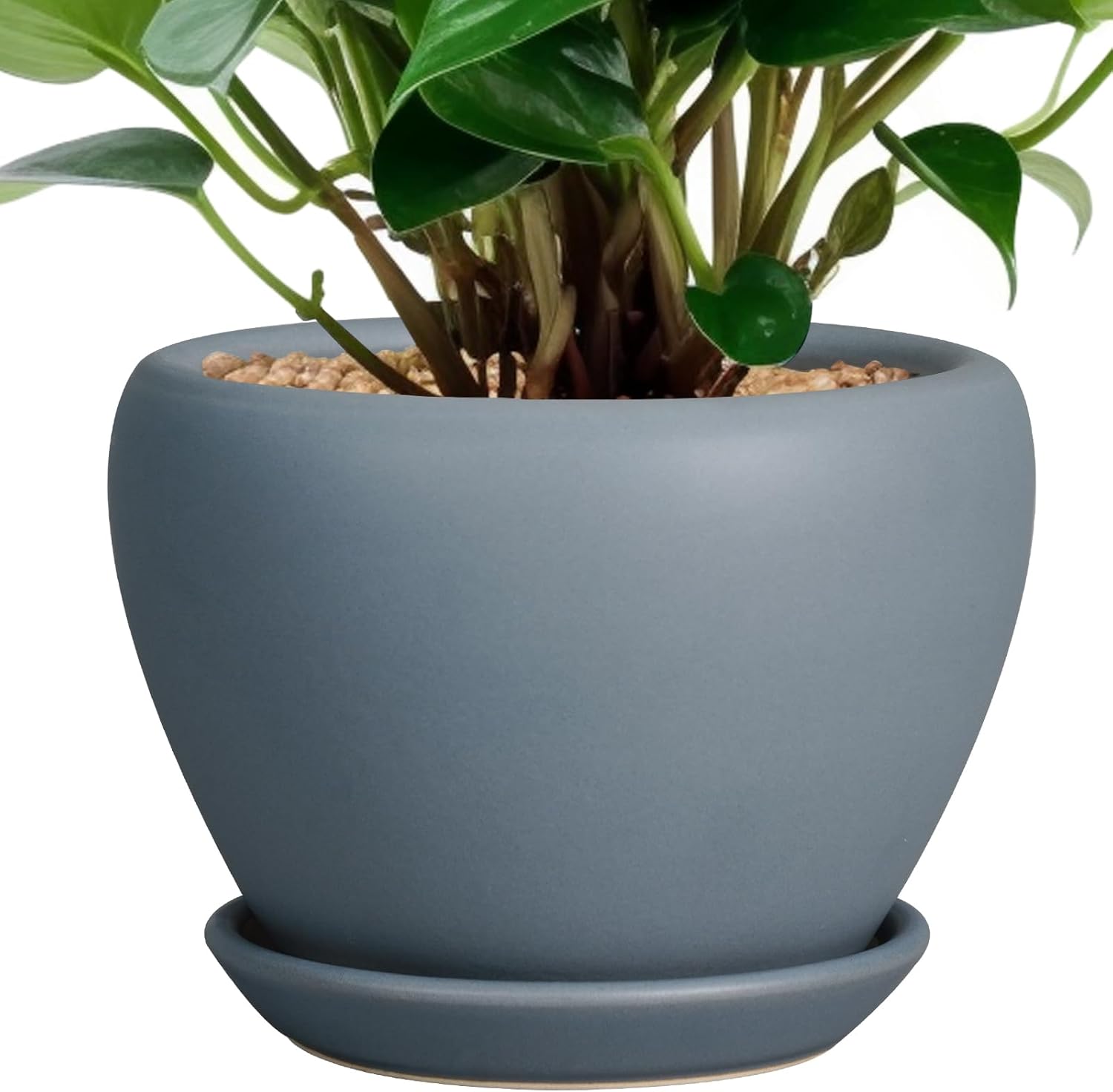 6in Ceramic Planter with Drainage Hole