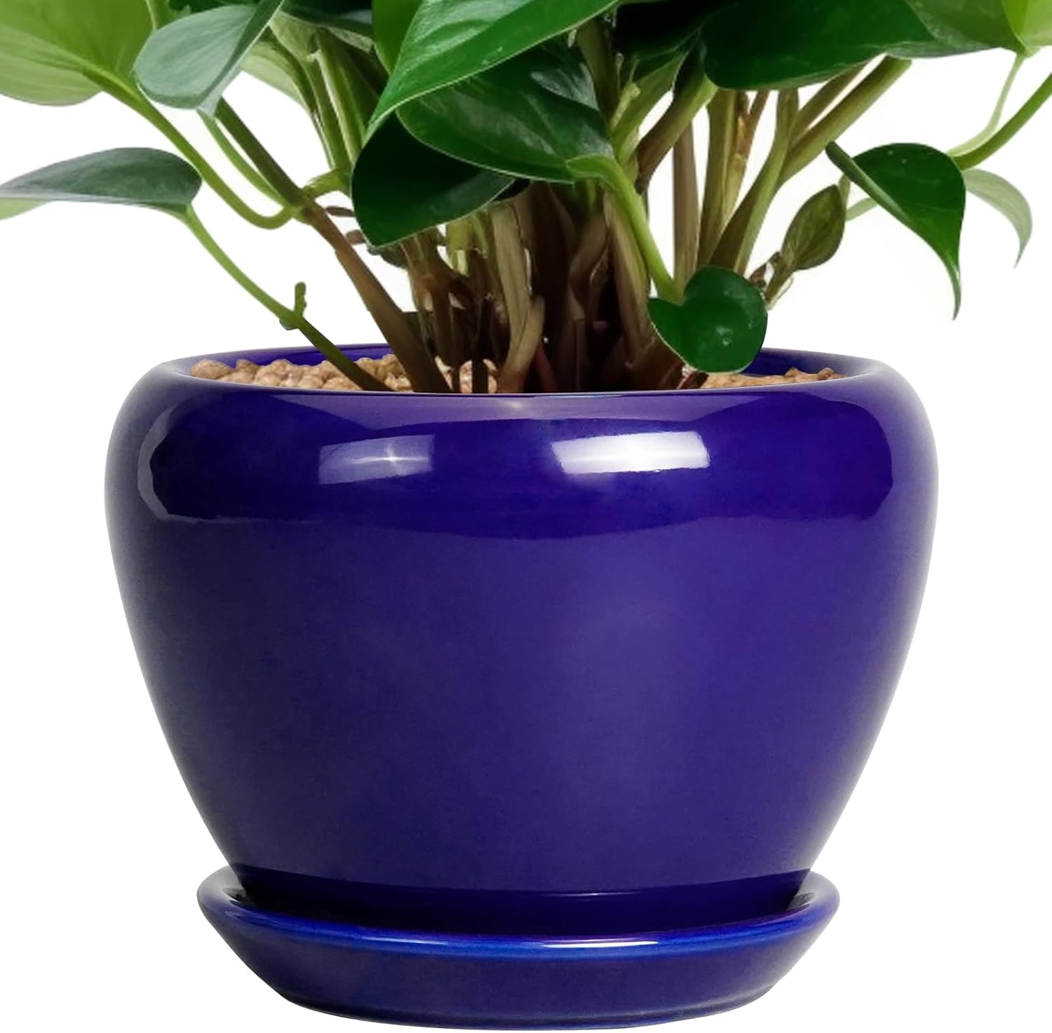 6in Ceramic Planter with Drainage Hole