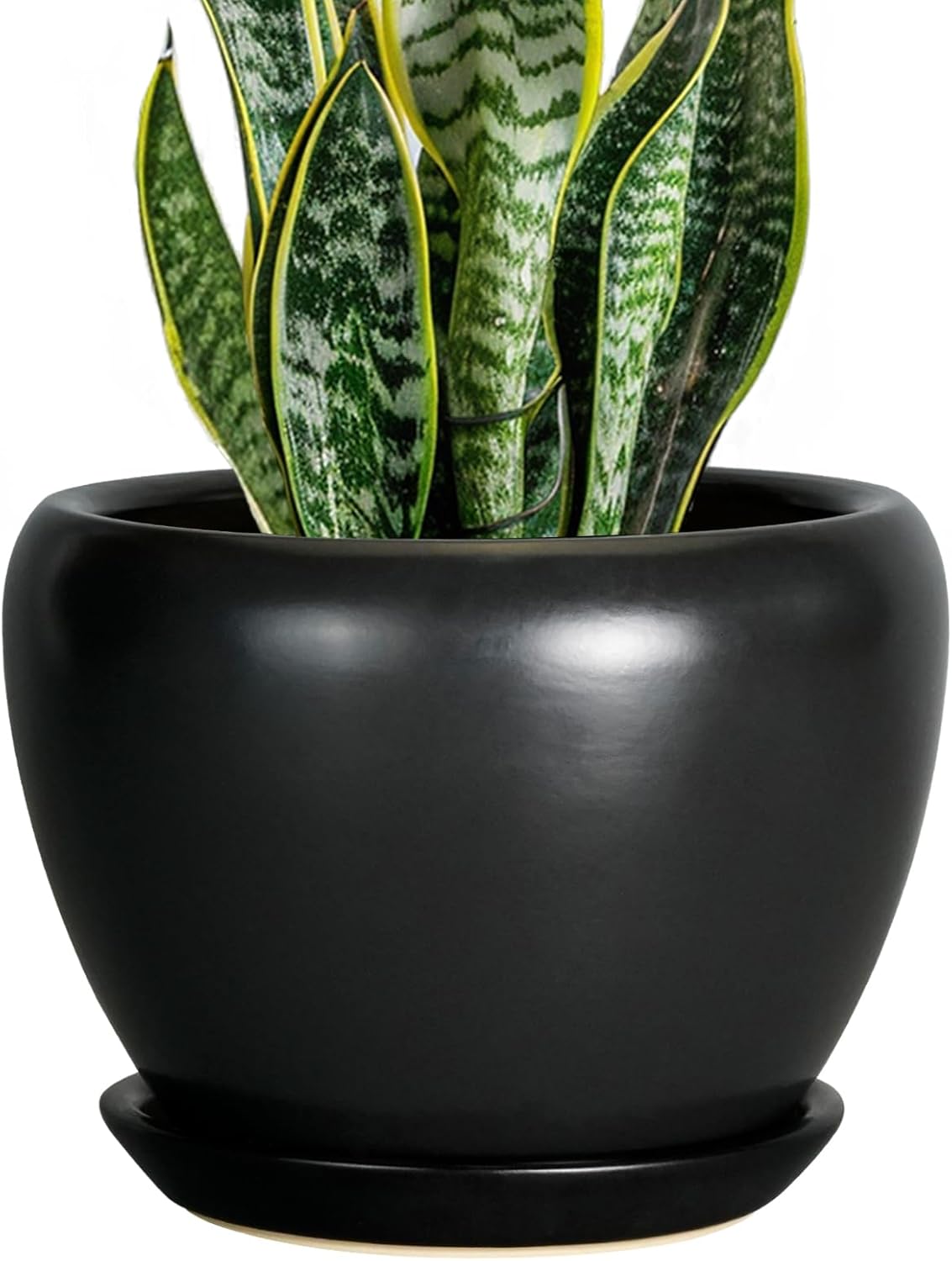 6in Ceramic Planter with Drainage Hole