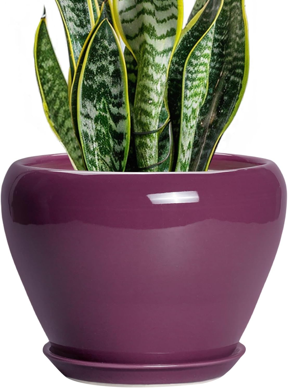 6in Ceramic Planter with Drainage Hole
