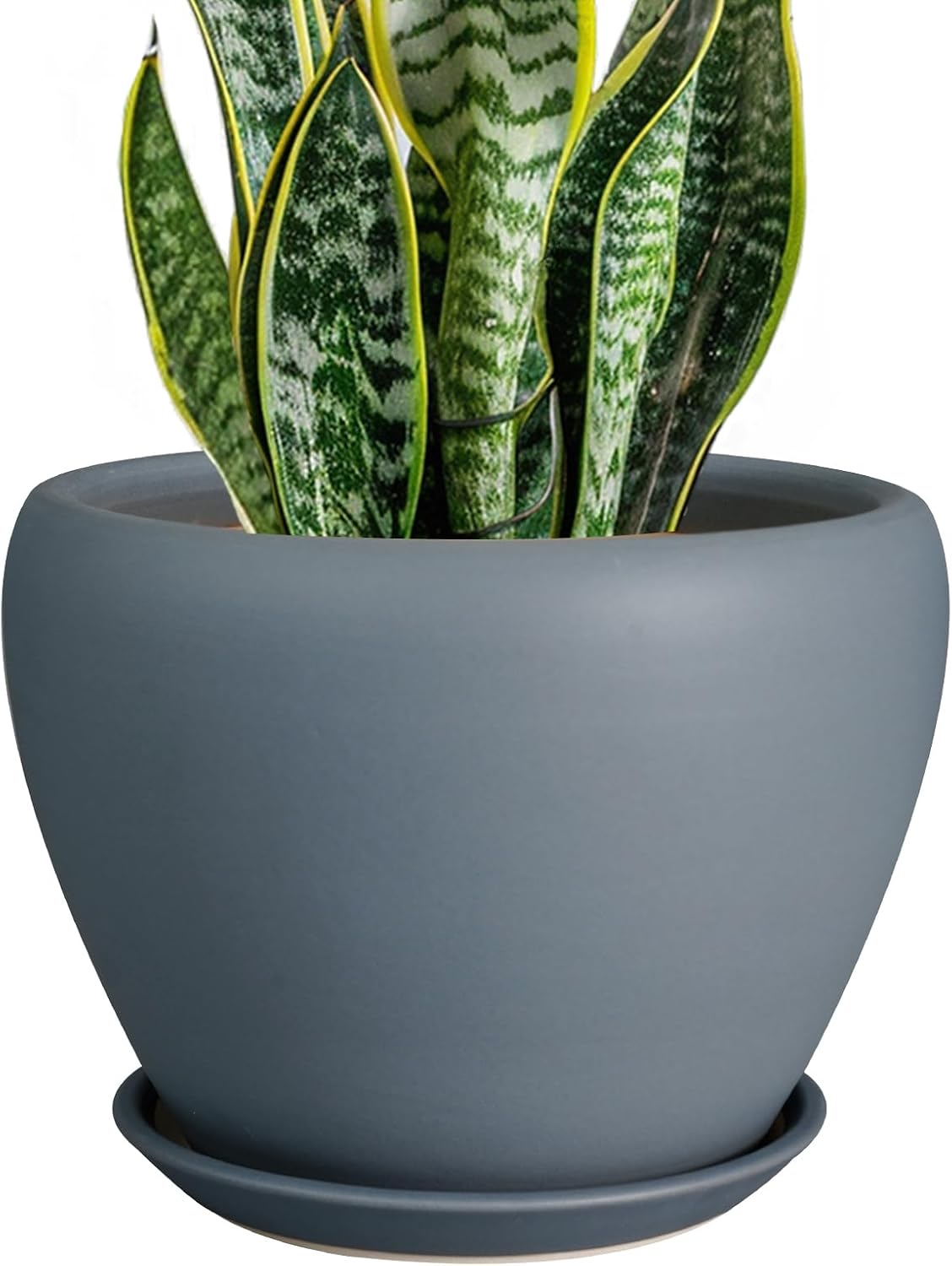 6in Ceramic Planter with Drainage Hole