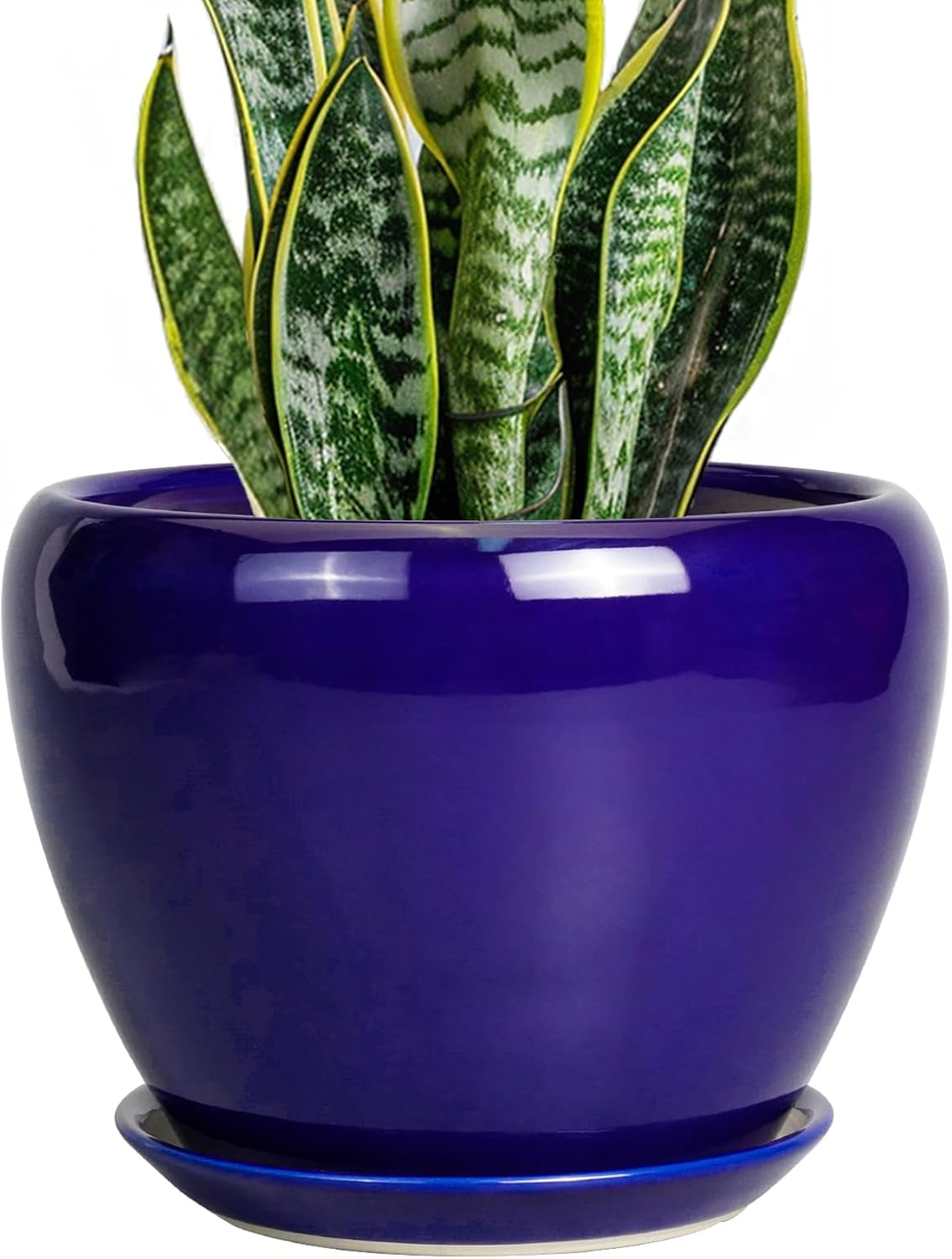 6in Ceramic Planter with Drainage Hole