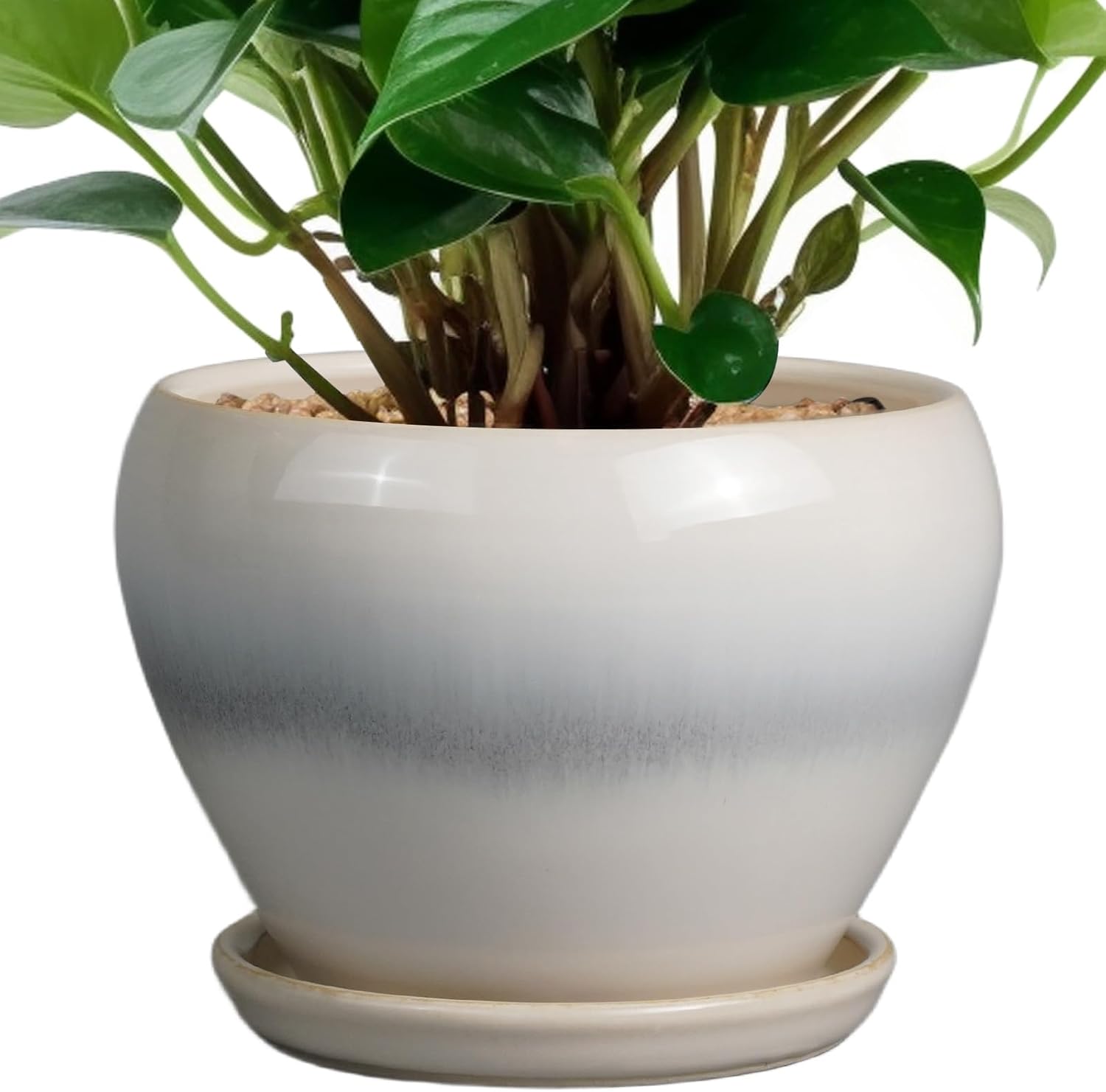 6in Ceramic Planter with Drainage Hole