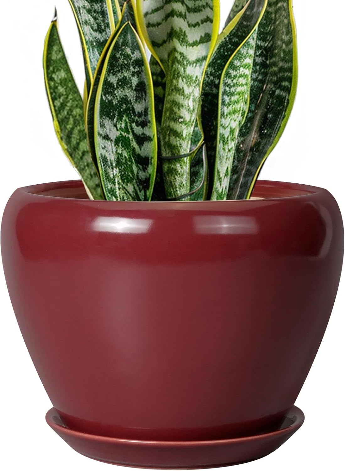 6in Ceramic Planter with Drainage Hole
