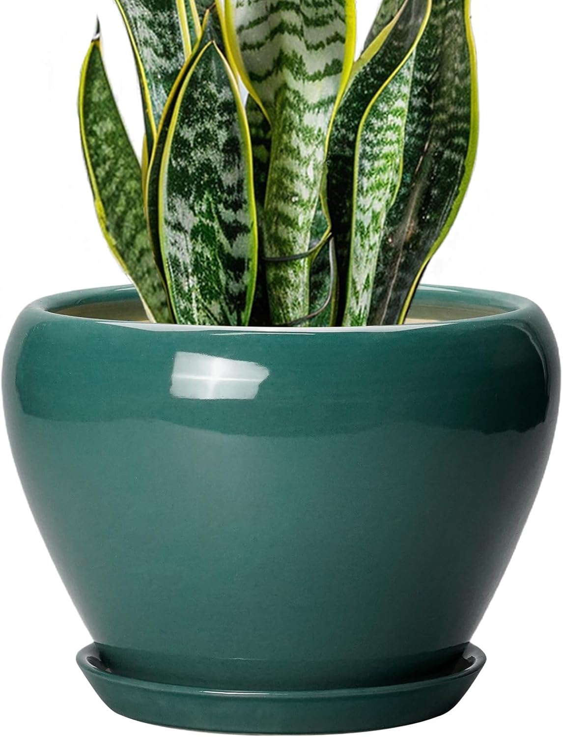 6in Ceramic Planter with Drainage Hole
