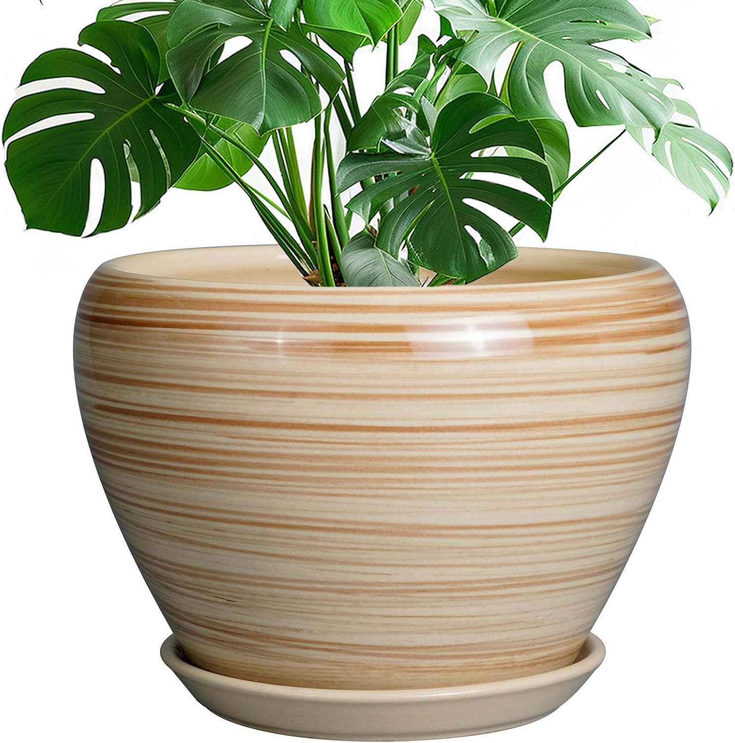 6in Ceramic Planter with Drainage Hole