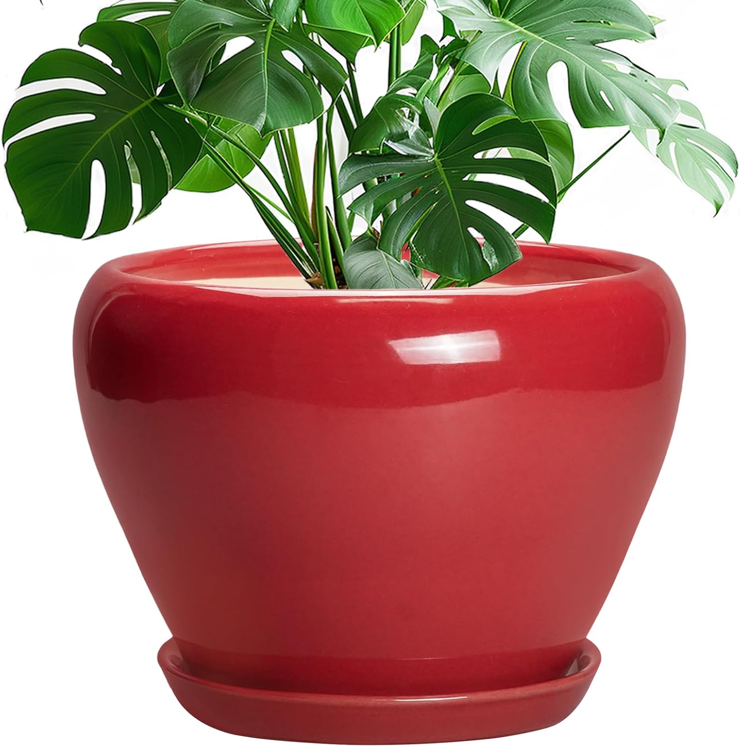 6in Ceramic Planter with Drainage Hole