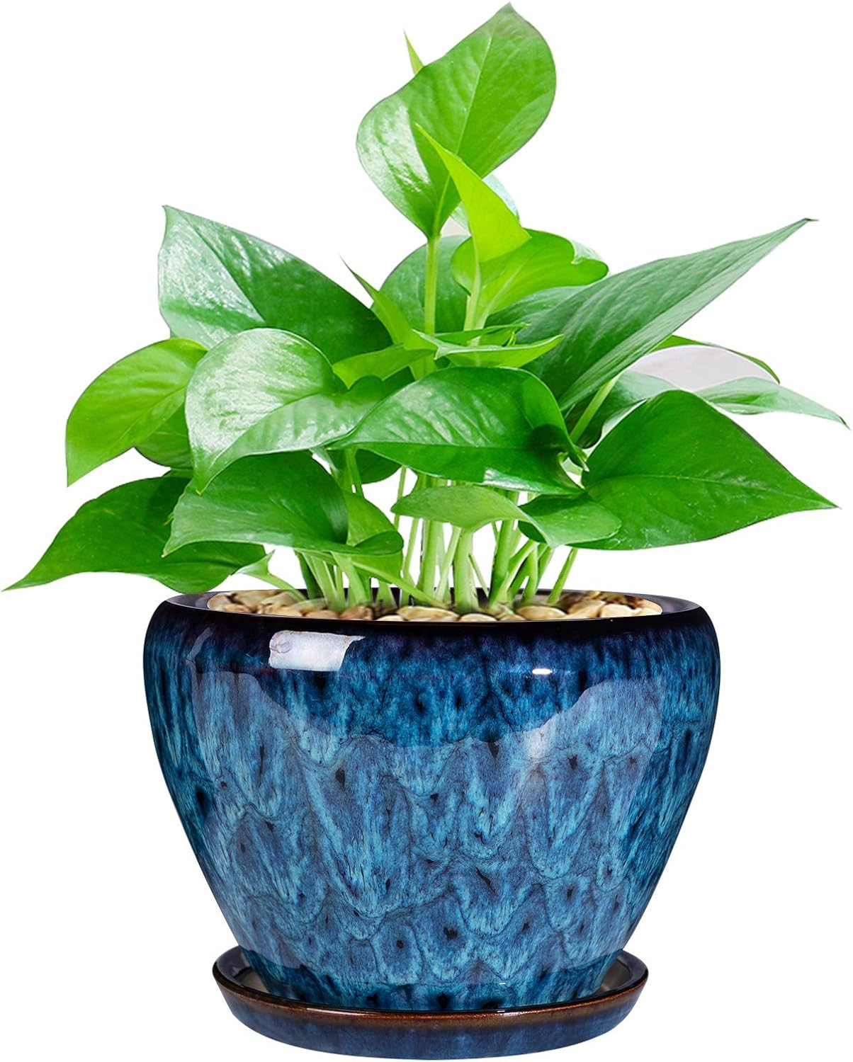 6in Ceramic Planter with Drainage Hole