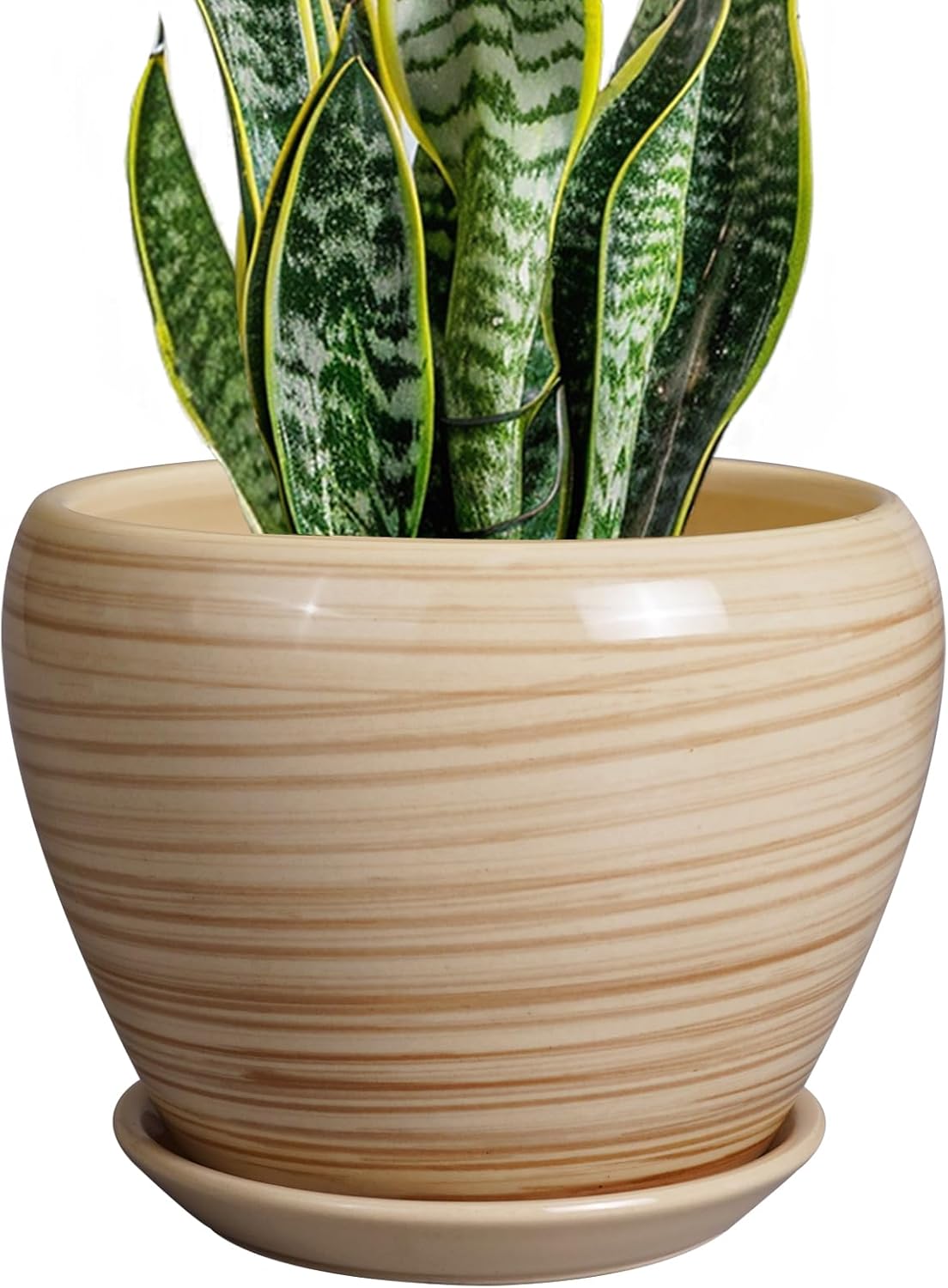 6in Ceramic Planter with Drainage Hole