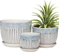 Set of 3 Ceramic Plant Pots with Saucers