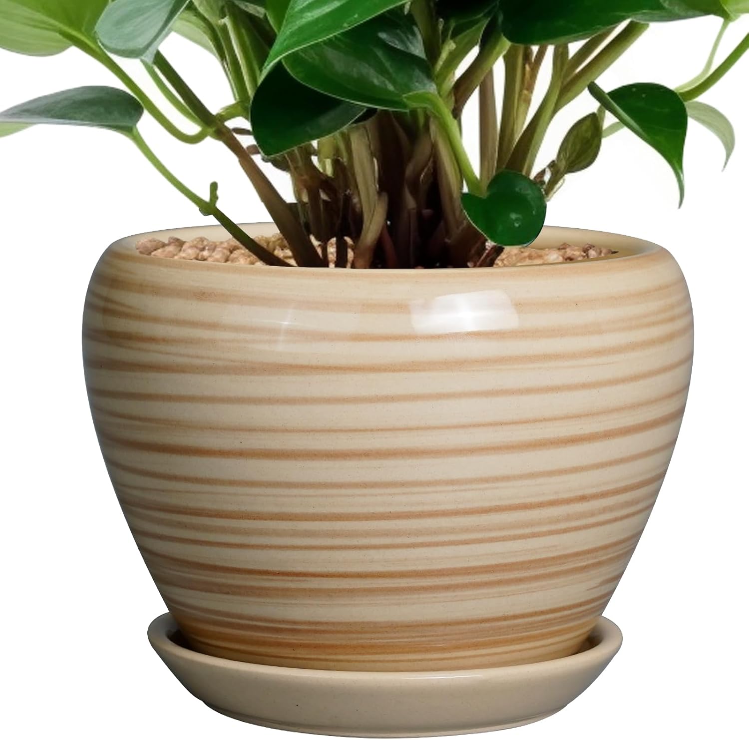 6in Ceramic Planter with Drainage Hole