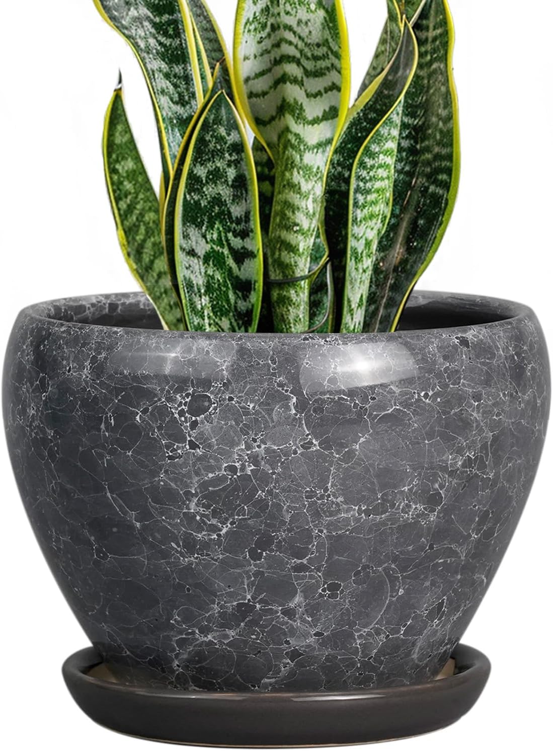 6in Ceramic Planter with Drainage Hole