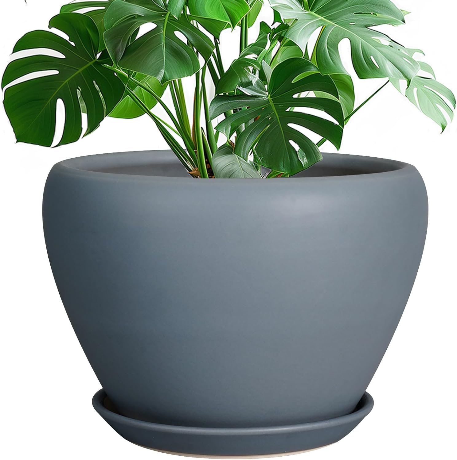 6in Ceramic Planter with Drainage Hole