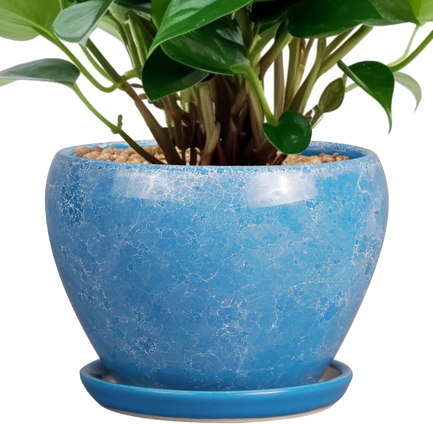 6in Ceramic Planter with Drainage Hole