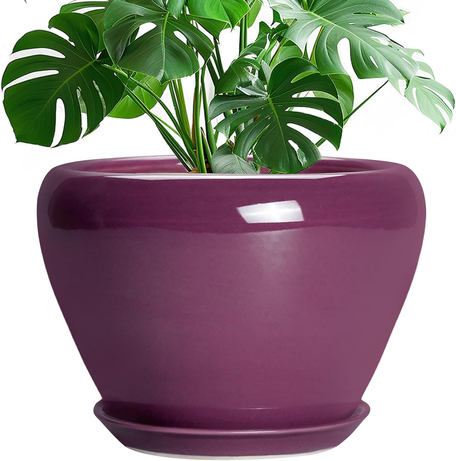 6in Ceramic Planter with Drainage Hole
