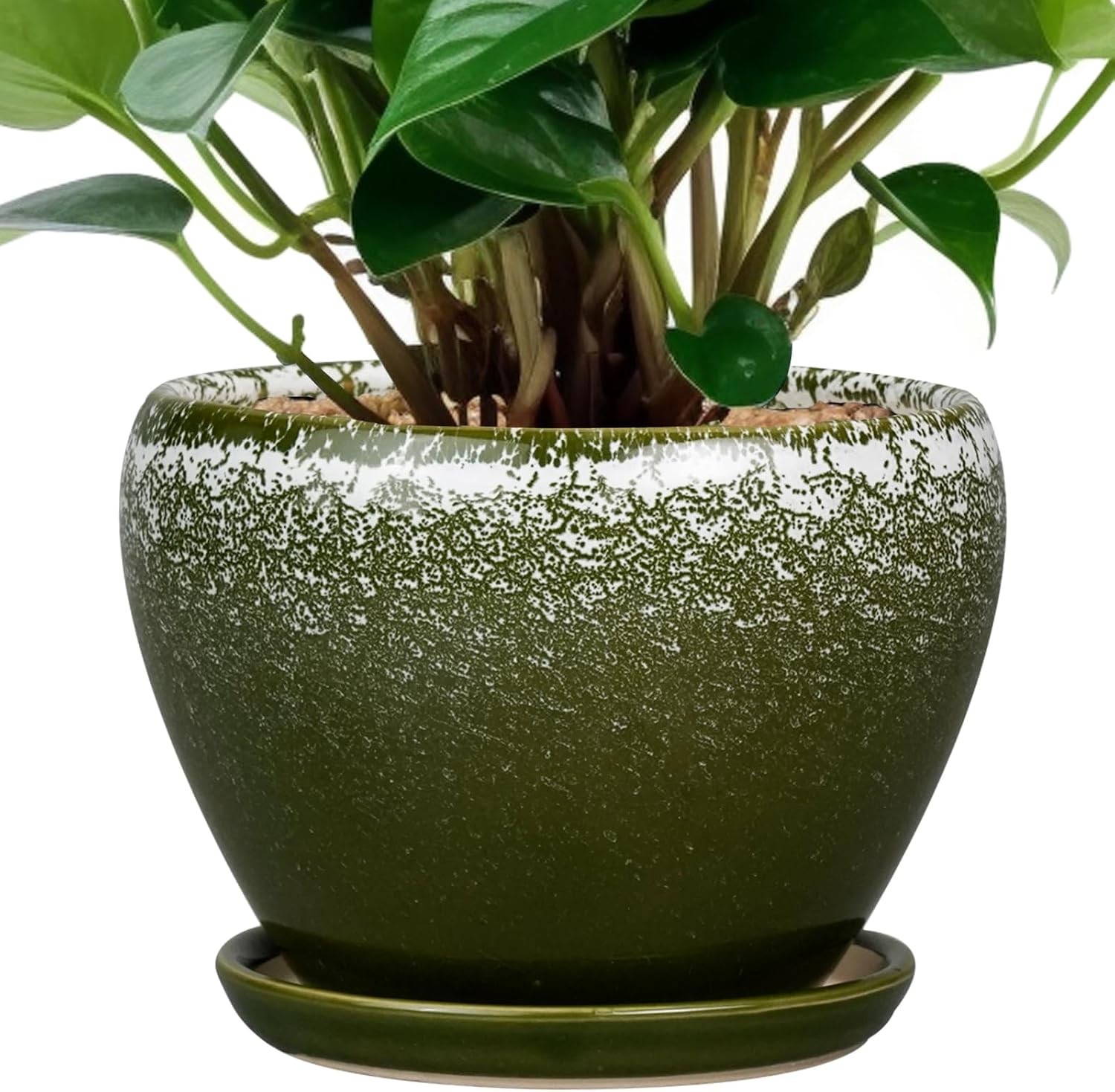 6in Ceramic Planter with Drainage Hole