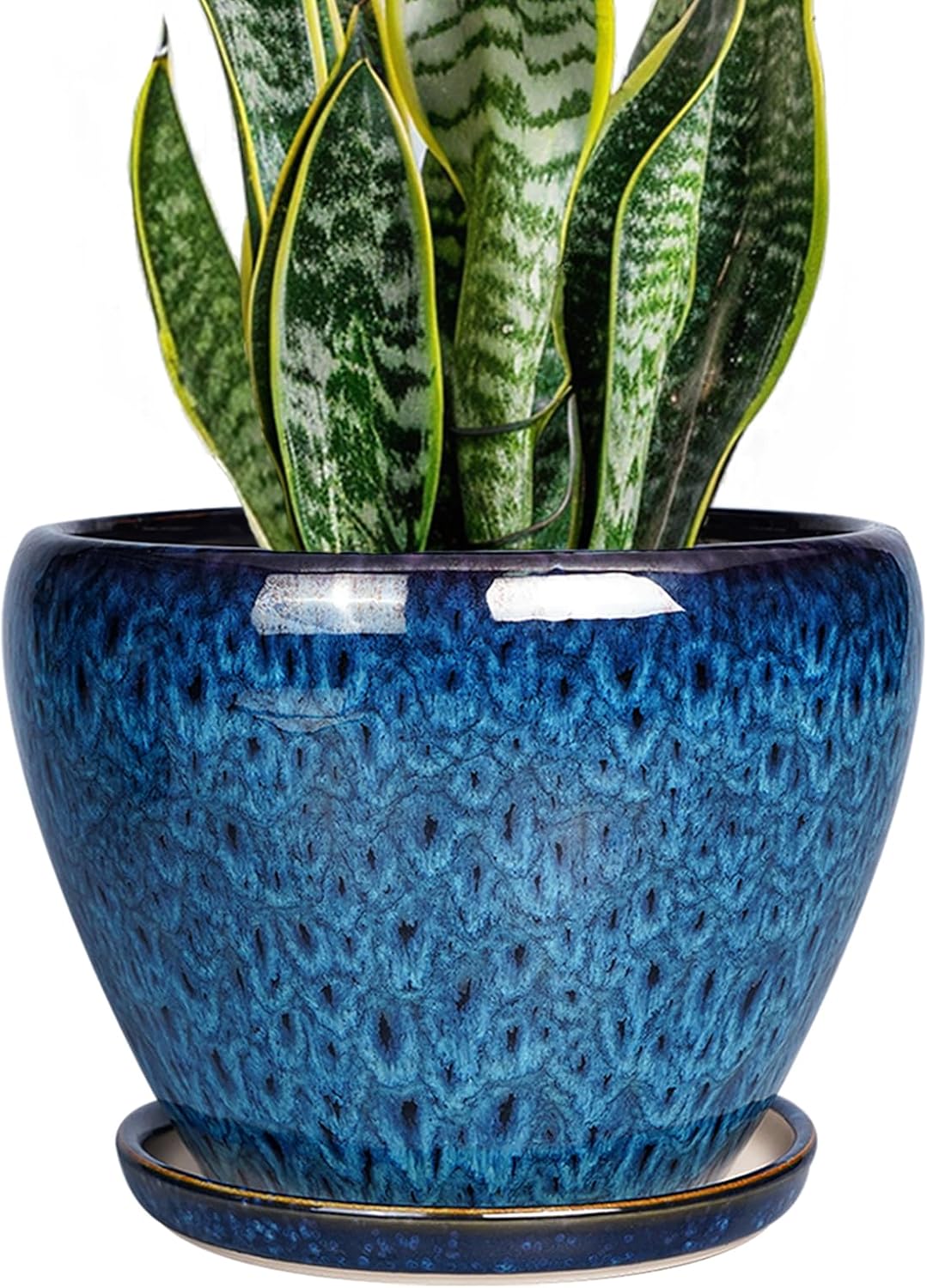 6in Ceramic Planter with Drainage Hole