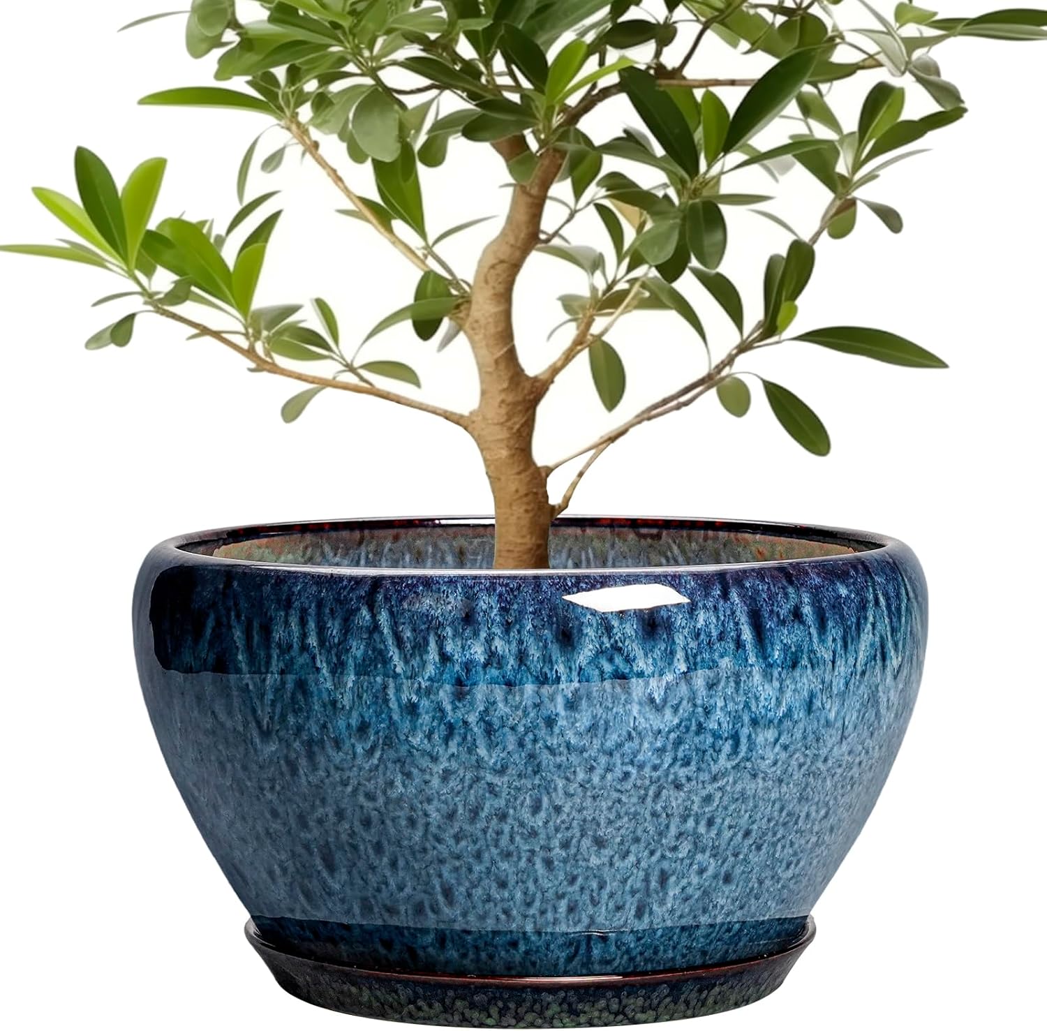 6in Ceramic Planter with Drainage Hole