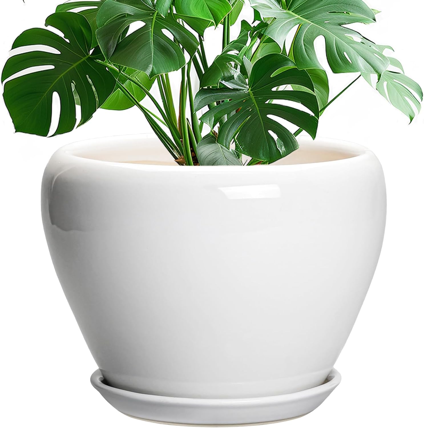 6in Ceramic Planter with Drainage Hole