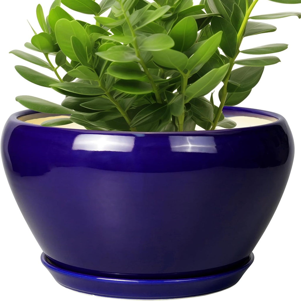 6in Ceramic Planter with Drainage Hole