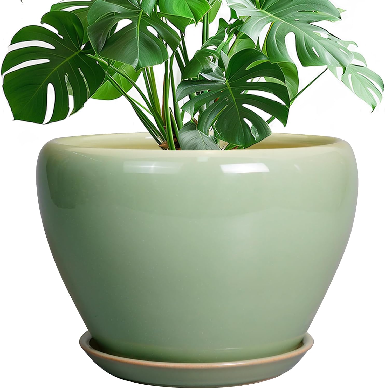 6in Ceramic Planter with Drainage Hole