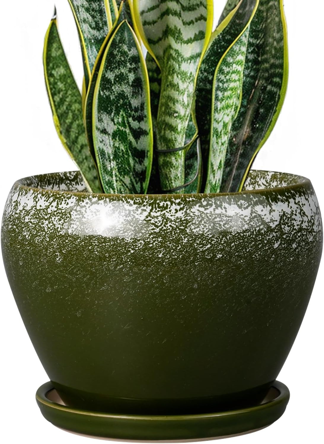 6in Ceramic Planter with Drainage Hole