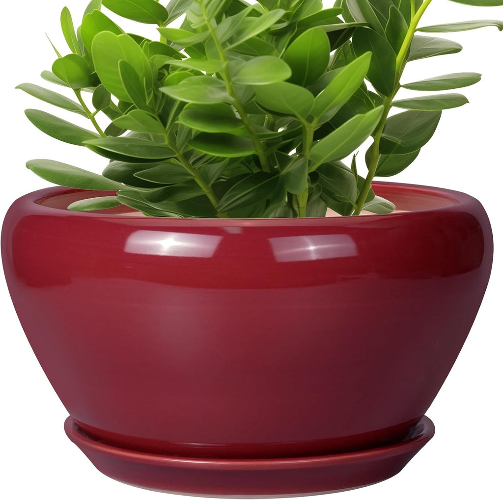 6in Ceramic Planter with Drainage Hole