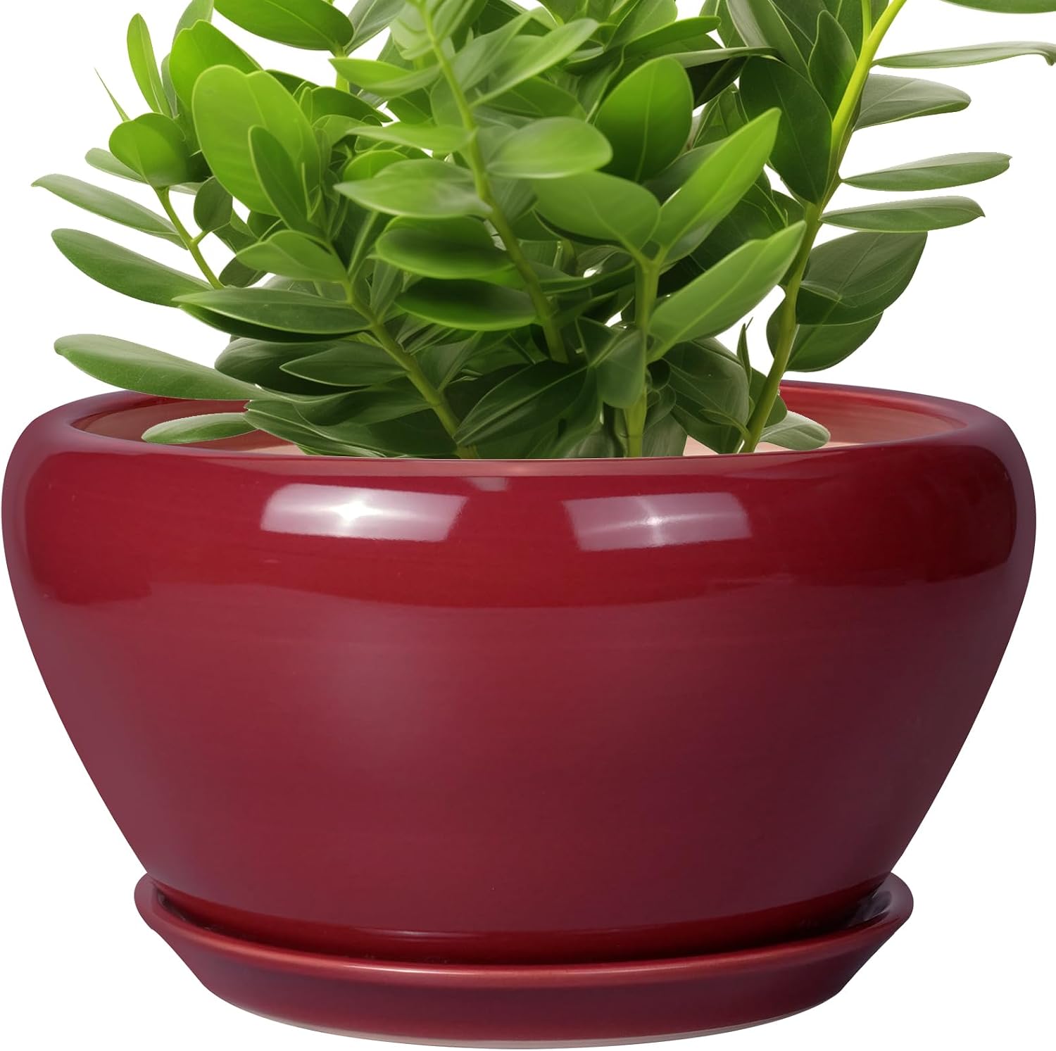 6in Ceramic Planter with Drainage Hole