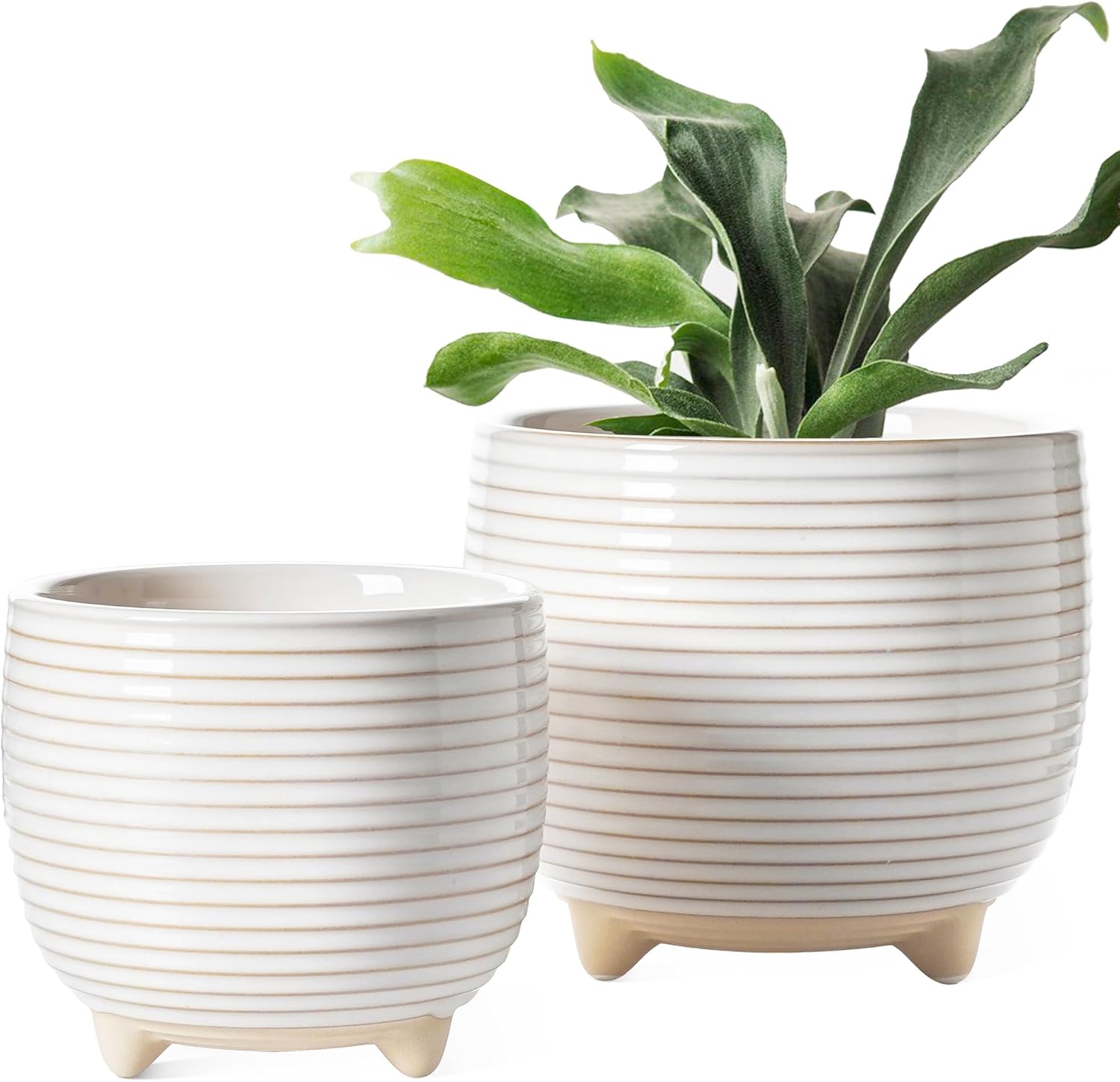 Set of 2 Footed Ceramic Planters