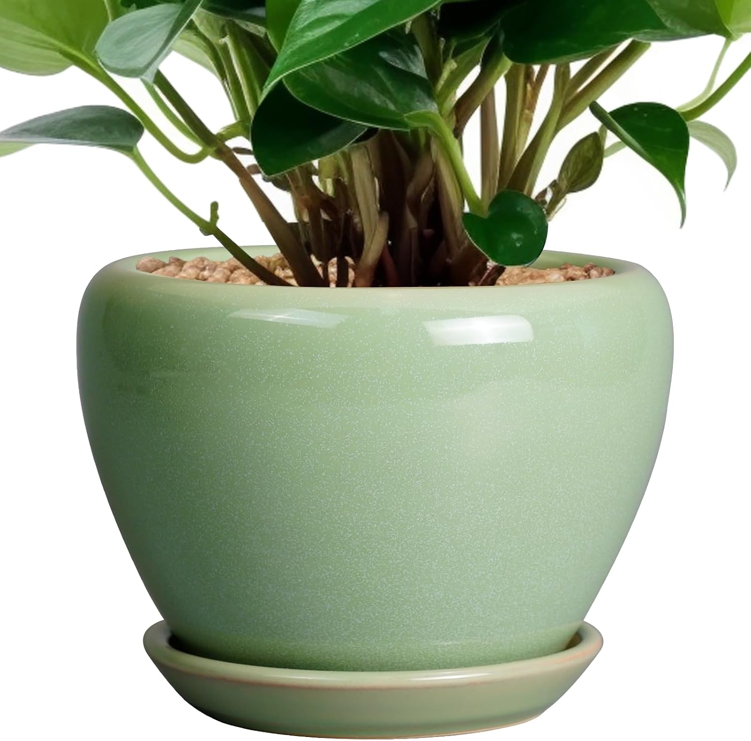 6in Ceramic Planter with Drainage Hole