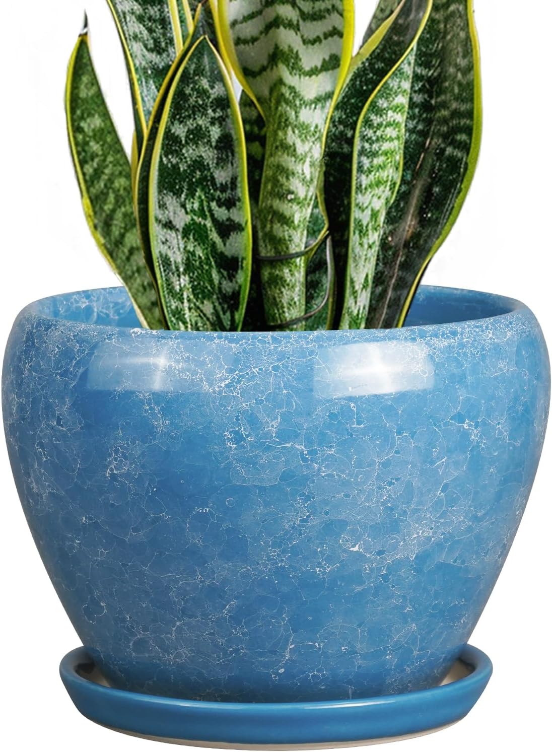 6in Ceramic Planter with Drainage Hole