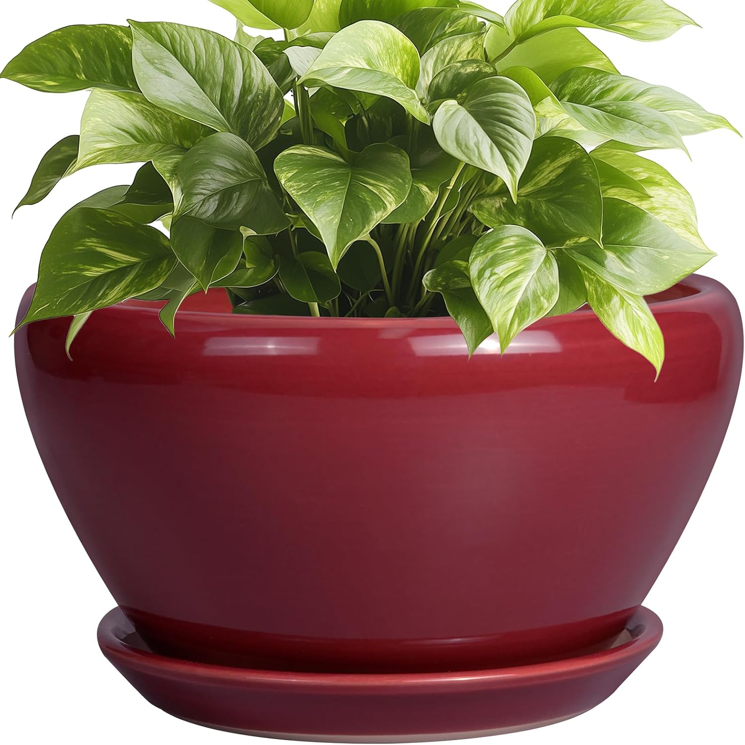6in Ceramic Planter with Drainage Hole