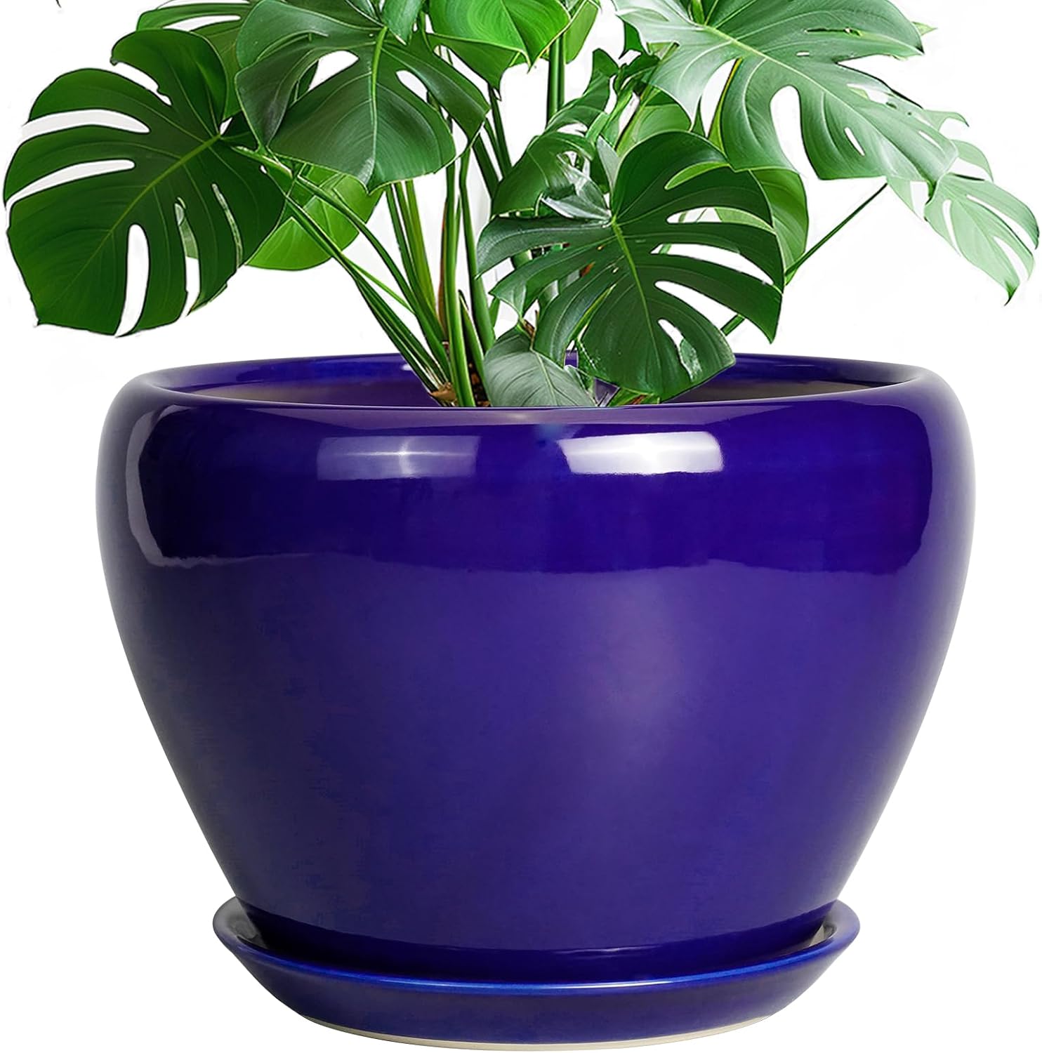 6in Ceramic Planter with Drainage Hole