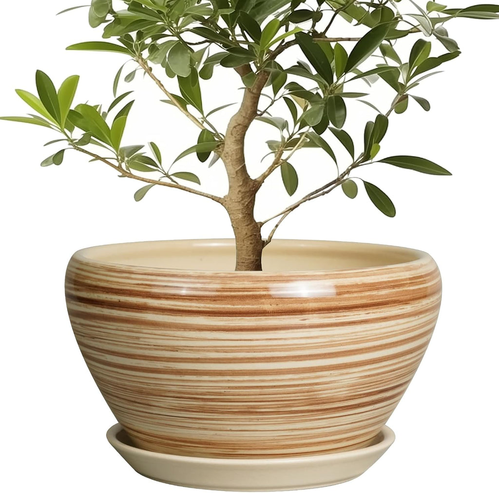 6in Ceramic Planter with Drainage Hole