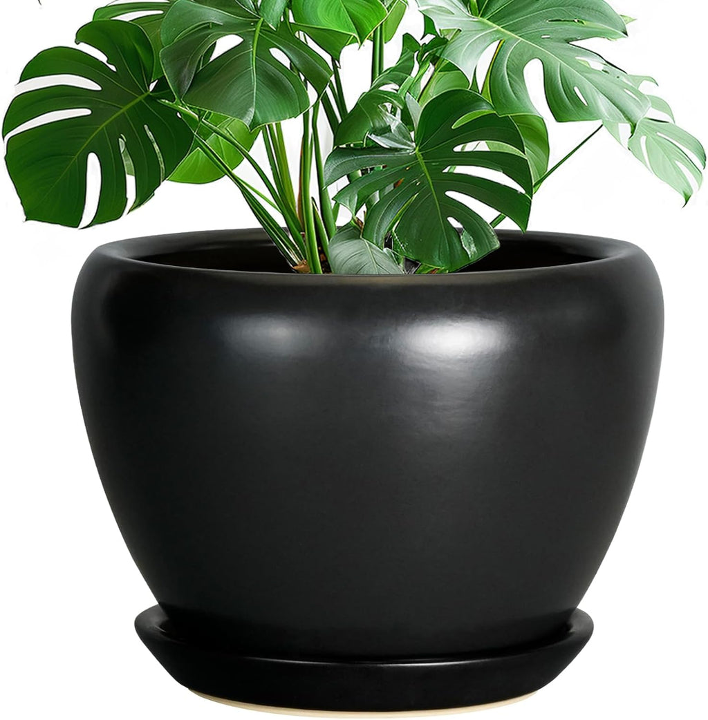 6in Ceramic Planter with Drainage Hole