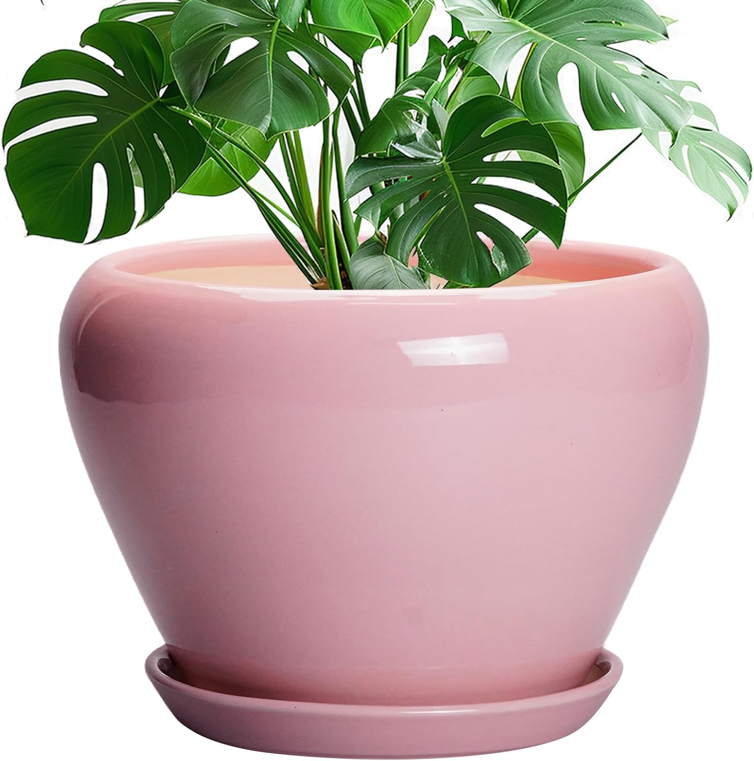 6in Ceramic Planter with Drainage Hole