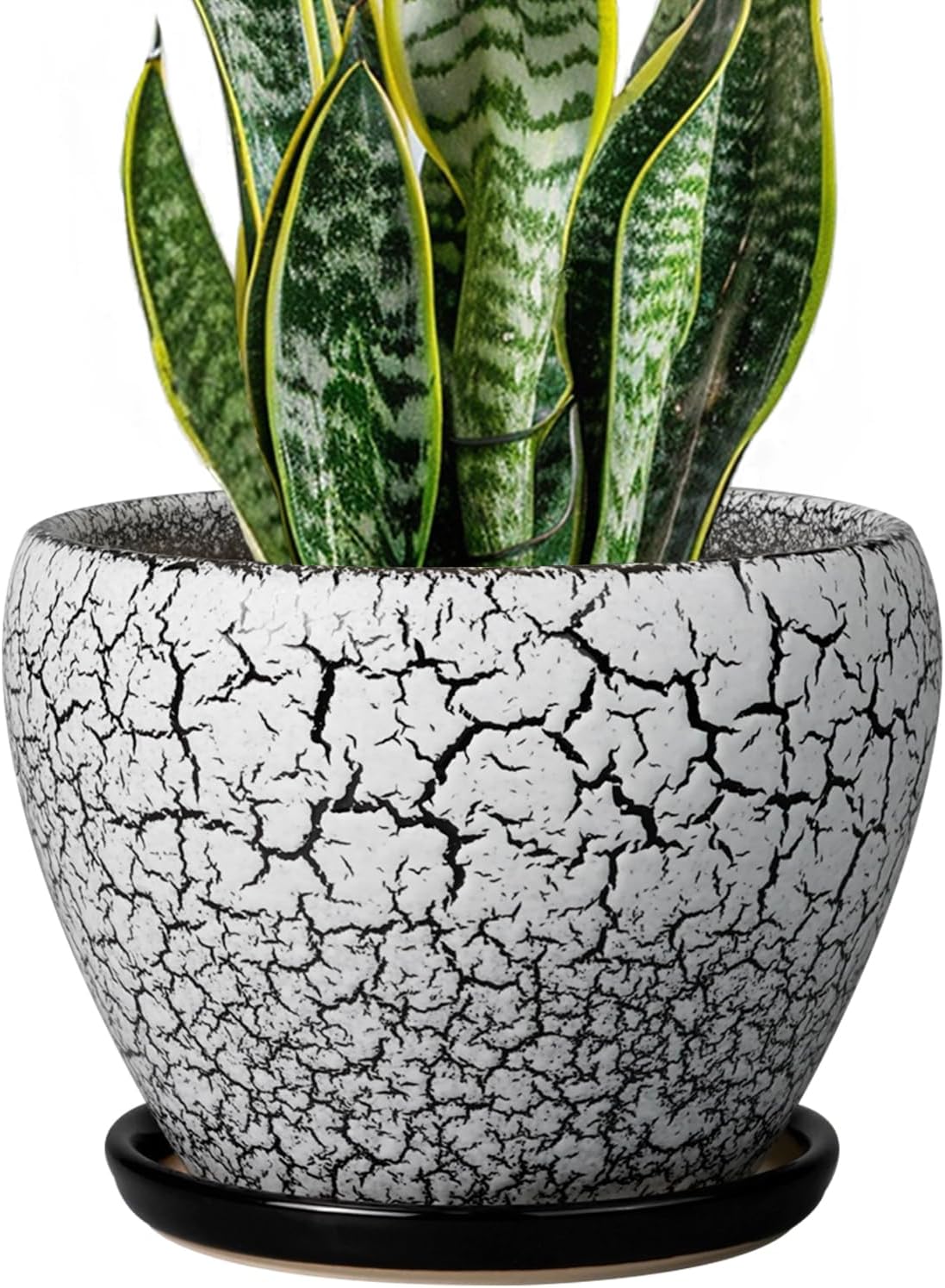 6in Ceramic Planter with Drainage Hole