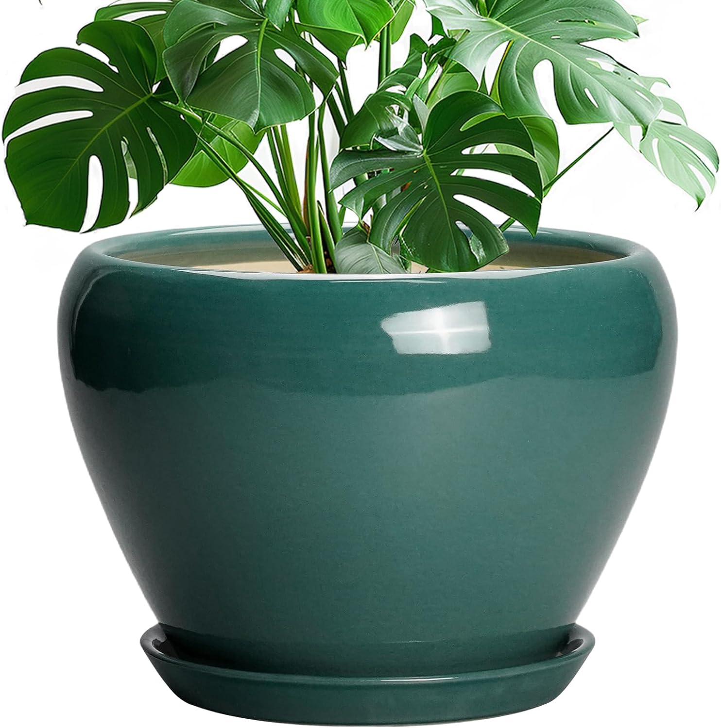 6in Ceramic Planter with Drainage Hole